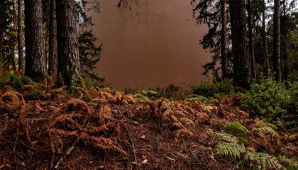 Obraz premium Autumn Forest Path with Brown and Green Undergrowth