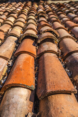 Close-up of traditional terracotta roof tiles in warm sunlight, highlighting texture and natural...