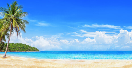Sea beach, turquoise ocean water, paradise tropical island, beautiful exotic nature panorama landscape, coconut palm tree, sand, summer holidays, vacation, travel banner, Caribbean, Thailand, Maldives