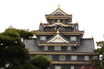 Fototapeta premium Okayama Castle