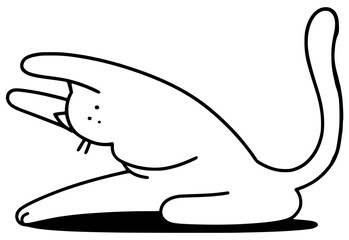 A cute chubby cat doing yoga in an asana