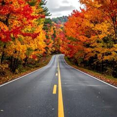 Fototapeta premium Autumn Road Through Colorful Trees.