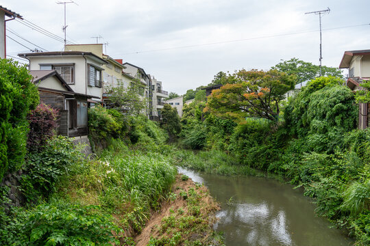 Nameri River flowing through Kamakura residential area, Japan