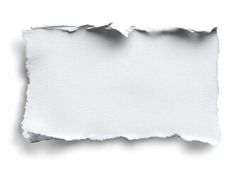 Torn white paper rectangle, blank, isolated