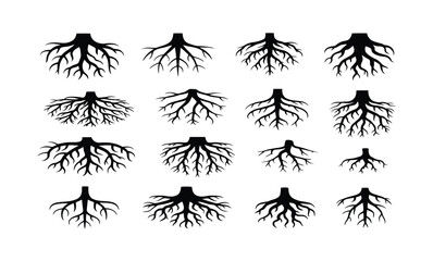 Collection of Black and White Silhouettes of Tree Roots