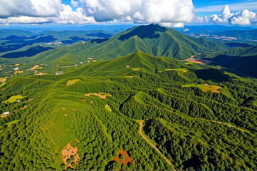 Aerial view of a lush green forested hillside with a mountain in the distance.