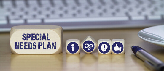 Special needs plan	
