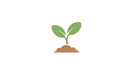 plant in a pot