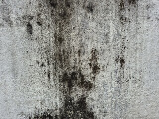 Obraz premium Weathered Concrete Wall with Mold and Stains