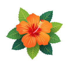 Tropical Hibiscus Blossom Orange Red Petals Green Leaves Fresh Floral Bloom