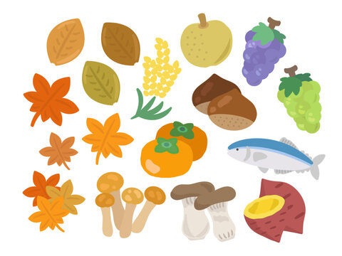 秋の味覚　イラストセット