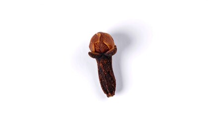 Single clove spice isolated on white