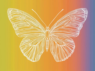White line art butterfly on a colorful gradient background