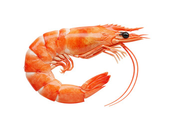 Isolated cooked shrimp on a plain surface, edible seafood cuisine and gourmet appetizer