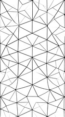 Obraz premium Geometric Pattern Design.