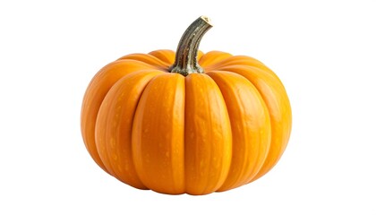 Single orange pumpkin against white background