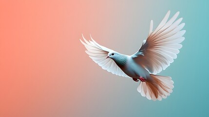 Obraz premium Bird in flight with elegant wings against a colorful gradient background during a serene moment