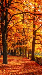 Autumnal Path Through Golden Trees.