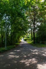 road in the park