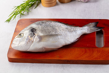 Raw fresh uncooked dorada fish