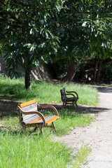 晴れた日の緑のある公園に並ぶ黄色いベンチ