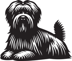 Briard Dog in Black and White – Elegant French Herding Breed Photography