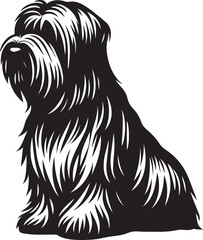 Briard Dog in Black and White – Elegant French Herding Breed Photography