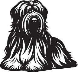 Briard Dog in Black and White – Elegant French Herding Breed Photography