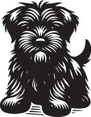 Obraz premium Briard Dog in Black and White – Elegant French Herding Breed Photography