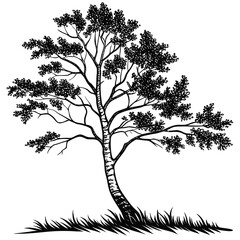 vector tree silhouette