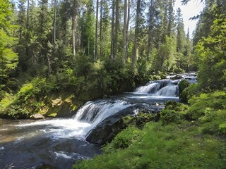 A scenic view of a river with small waterfalls flowing through a lush green forest on a sunny day.