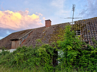 Very old dilapidated Danish farm house abandoned many years ago in the green countryside on a summer evening