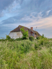 Very old dilapidated Danish farm house abandoned many years ago in the green countryside on a summer evening