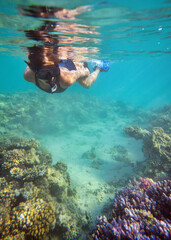 Young woman snorkeling in Red Sea, Egypt, swimming above corals, few small fish near, underwater photo