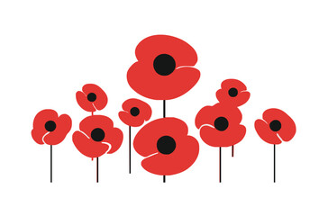 A collection of remembrance day poppies 