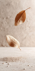 autumn leaves on the sand
