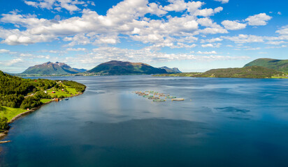 Farm salmon fishing in Norway