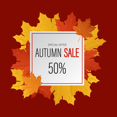 Autumn sale. An advertising banner with autumn leaves. 50% discount square frame with maple leaves on a burgundy background. 