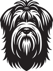 Briard Dog in Black and White – Elegant French Herding Breed Photography
