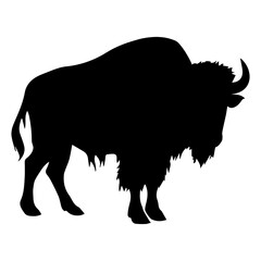 Silhouette of a large bison standing with its head lowered and visible horns on a white background view