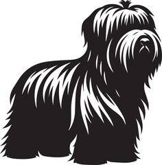Briard Dog in Black and White – Elegant French Herding Breed Photography
