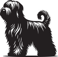 Briard Dog in Black and White – Elegant French Herding Breed Photography