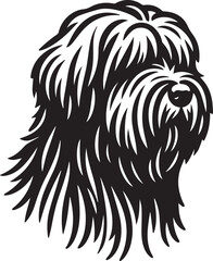 Briard Dog in Black and White – Elegant French Herding Breed Photography