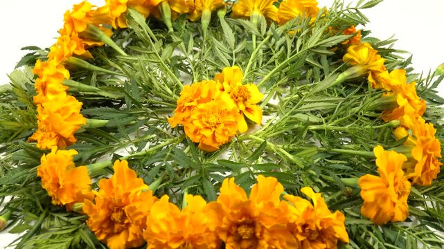 Floral arrangement with orange tagetes patula French marigolds sort Safari Mix is on a dark wooden table, top view, rotation