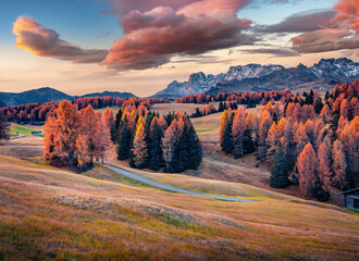 Wonderful outdoor scene in Alpe di Siusi with beautiful yellow larch trees and Rosengarten mountain...