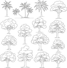 Isolated a Minimal style cad tree line drawing, Side view, set of graphics trees elements outline symbol for architecture and landscape design drawing in stroke fill in white. Tropical, oak vector art