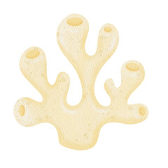 Watercolor Cute coral. Under the sea.