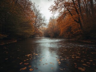 Herbstlicher Fluss mit fallenden Blättern zwischen bunten Bäumen unter grauem Himmel