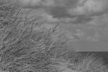 Die Insel Vlieland in Holland