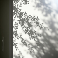 shadow overlay effects of realistic window and tree branch shadow with light blur on transparent background,Summer sunlight and shadow overlay effect